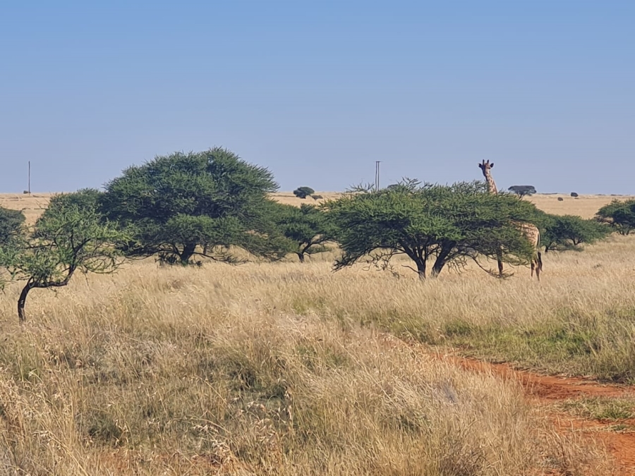 Commercial Property for Sale in Boshof Rural Free State